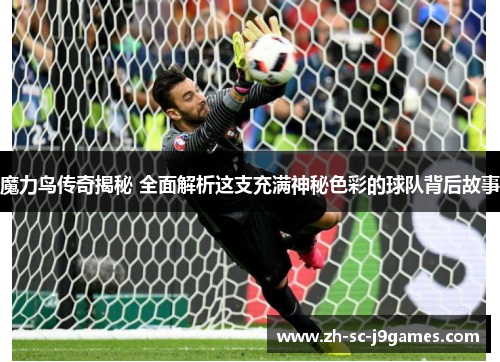 魔力鸟传奇揭秘 全面解析这支充满神秘色彩的球队背后故事